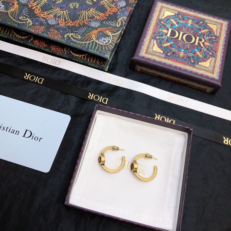 Christian Dior Earrings